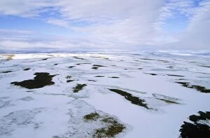 ANZ-1305 Snow melts in arctic tundra spring. Aerial view from a helicopter