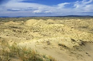 ANZ-925 Russia - dunes of Tsuger-Als Sands: ancient alluvial sands along river Tes-Hem valley