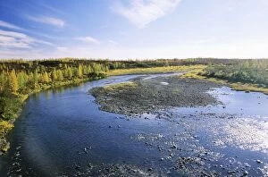 ANZ-984 A typical minor river in semi-tundra in autumn