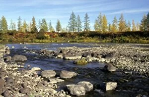 ANZ-988 A typical small river in semi-tundra in autumn, near Dudinka, Siberia, Russia
