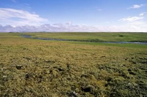ANZ-990 Arctic tundra, a typical landscape near Dikson