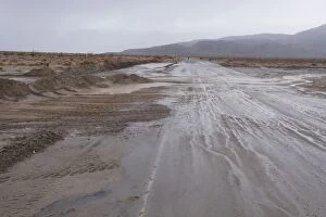 Images Dated 21st January 2010: Anza Borrego Desert - flooding after heavy winter rains