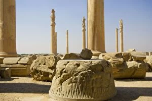 Images Dated 23rd October 2007: Apadana Palace, Persepolis, Iran. Remains of the original 72 columns of the Apadana Palace