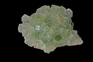 Apophyllite India, refers to a specific group of
