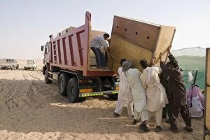 Arabian Oryx - in transport box being loaded on