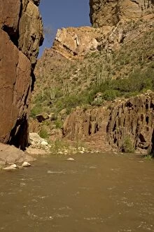 Images Dated 13th July 2009: Aravaipa Canyon Wilderness Cliffs and Creek - Located about 50 miles northeast of Tucson - Federal