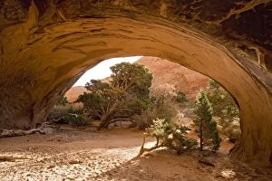 Images Dated 15th November 2006: Arches National Park, Utah: Navajo Arch, Sandstone