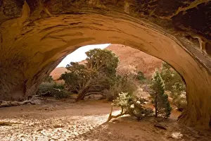 Arches Prints: Arches National Park, Utah: Navajo Arch, Sandstone