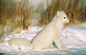 Images Dated 2005 January: 