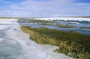 Arctic tundra - snow melts in small river valley. A typical scene in tundra of Taimyr peninsula, North of Siberia, Arctic Russia. Summer, July. Di33. 2095