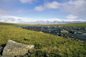 Lemming Prints: Arctic tundra, a typical landscape with a small river near Dikson