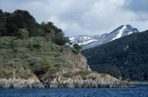 Images Dated 29th April 2010: Argentina - beagle channel - Tierra del Fuego