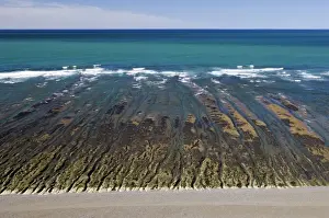 Argentina, Patagonia, Province Chubut: Valdes Peninsula. Low tide at Caleta Valdes on the Atlantic coast. The platform exposed at low tide is called a restinga in Argentina