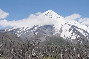 Argentina, Patagonia, Province Neuquen