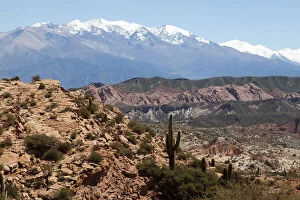 Images Dated 25th July 2011: Argentina, Salta, typical landscape of