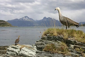 Argentina, Tierra del Fuego National Park