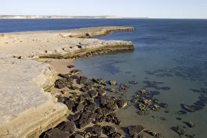 Argentina - Valdes Peninsula, Province Chubut. Low tide in Golfo Nuevo, at Punta Pardela, near Puerto Piramide. Exposed horizontal rock layers are the 20 Million year old marine Patagonia formation