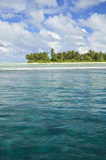 Atoll Gallery: Ari Atoll, The Maildives, Indian Ocean