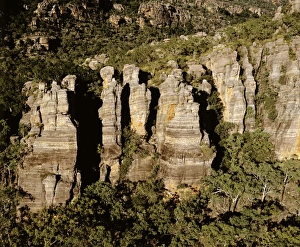 Images Dated 7th January 2009: Arnhemland escarpment Kakadu National Park (World Heritage Area), Northern Territory