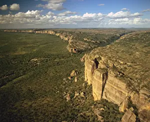 Arnhemland Escarpment, Namarrkon Gorge area Kakadu National Park (World Heritage Area), Northern Territory, Australia JPF28941