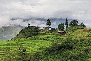 Asia, Bhutan. Rice fields and terraces spread