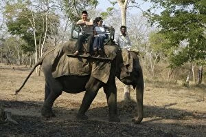 Asian tourists on elephant ride
