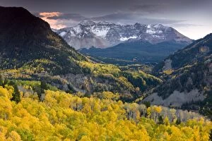 Images Dated 30th September 2012: Aspen forests in autumn