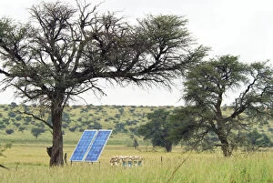 ASW-4752 Solar panel for powering water pump at waterhole, replacing previous windmill