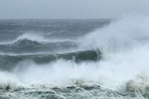 Images Dated 8th November 2010: Atlantic Storm Waves breaking on rocky shore - Porthnahaven - Islay - Scotland - UK LA005453