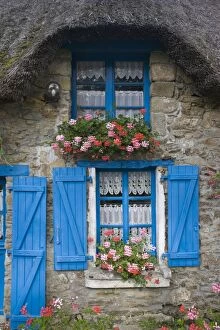 Images Dated 21st September 2007: Attractive thatched French cottage blue door and shutters flowers window boxes Brittany France