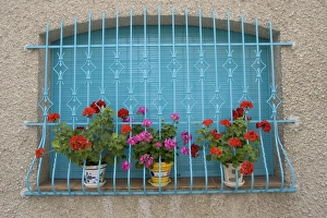 Attractive window display with blue railings and red geraniums Attractive window display with blue railings and red geraniums