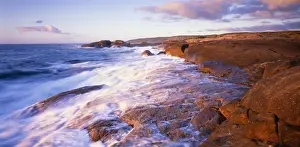 Australia AU 156 / JLR Cape Freycinet Leewin Naturaliste, National Park, South West, Western Australia. © Jean-Marc La Roque / ARDEA LONDON