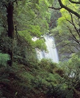 Images Dated 2nd June 2005: Australia - Beauchamp waterfall in the Otway National Park southern tip of the state of Victoria
