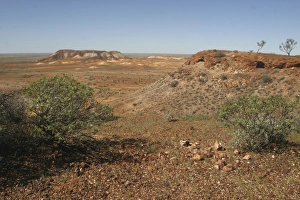 Images Dated 2003 March: 22 Mar 2003 Collection