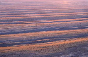 Australia - dunefields. Sand dunes & claypans in interdune corridors South-eastern Simpson, South Australia