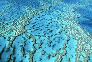 Aerials Gallery: Australia - Great Barrier Reef Hardy Reef. Hard coral formations