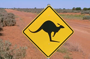 Track Collection: Australia JPF 11533 Road sign warning of Kangaroos. Western NSW. © Jean-Paul Ferrero / ARDEA LONDON