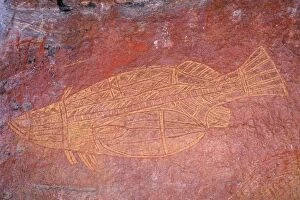 Aborigine Gallery: Australia - Kadadu National Park, Ubirr (Obiri)