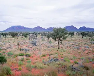 Sandstone Prints: Australia - Kata Tjuta (the Olgas) from the South in rainy conditions