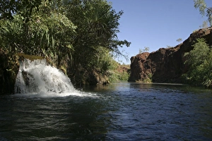 Australia - Lawn Hill National Park, Far west Queensland, showing creek & spring Australia - Lawn Hill National Park, Far west Queensland, showing creek & spring