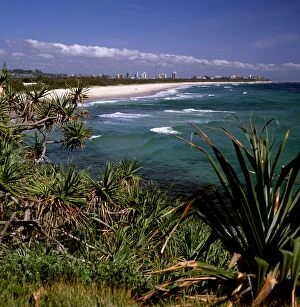 Australia - Looking north to the natural ocean beach with Pandanus headland vegetation