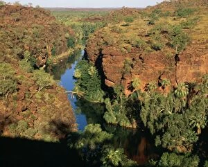 Images Dated 15th June 2004: Australia lower lawn Hill Gorge Boodjamulla (Lawn Hill) National Park, Gulf of Carpentania