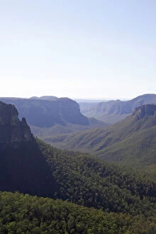 Eucalyptus Gallery: Australia, New South Wales, Blue Mountains