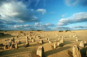 Arty Collection: Australia - The Pinnacles, Limestone. Nambung National Park, Western Australia
