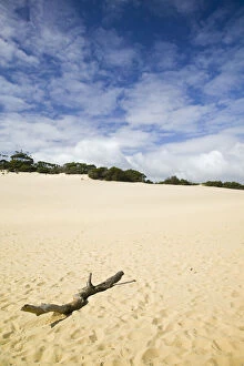 Dune Gallery: Australia, Queensland, Fraser Coast, Rainbow