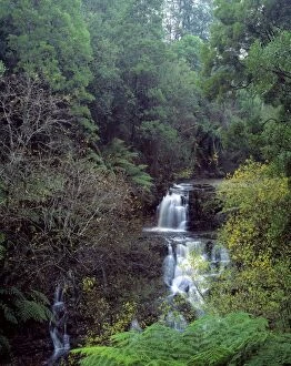 Images Dated 2nd June 2005: Australia - Turton creek waterfall East Gipsland.Victoria