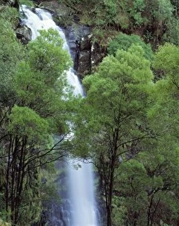 Australia - Waterfall in the Otway National Park southern tip of the state of Victoria