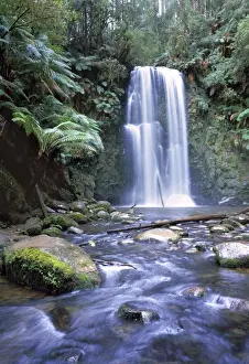 Tree Fern Prints: Australia - Waterfall in the Otway National Park southern tip of the state of Victoria