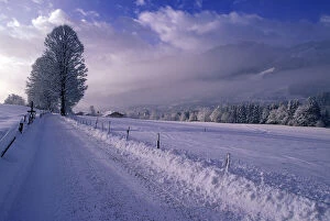 Austria, Tirol, Kitzbuhel. Morning snow