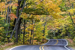 Empty Gallery: Autumn canopy of color along Highway 41